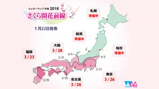 Sakura 2016