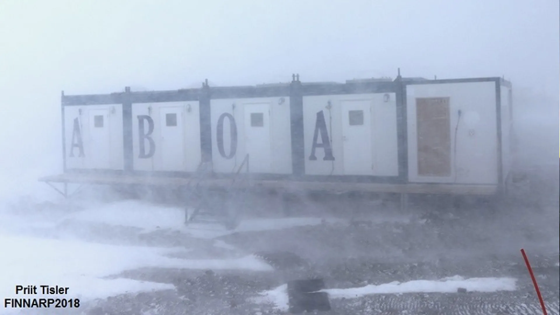 Aboa