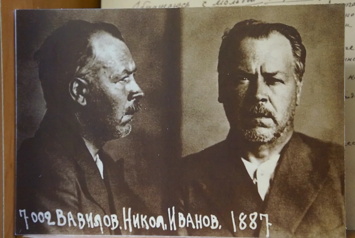 Nikolai Vavilov