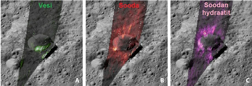 Kuva: Carotto et al. 2018