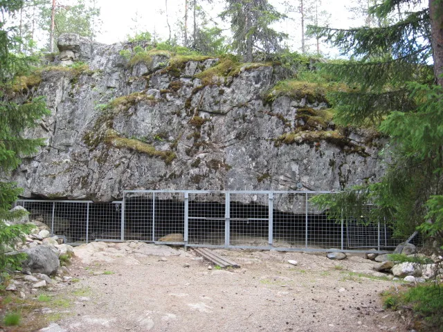 Susiluola on nykyään aidattu.
