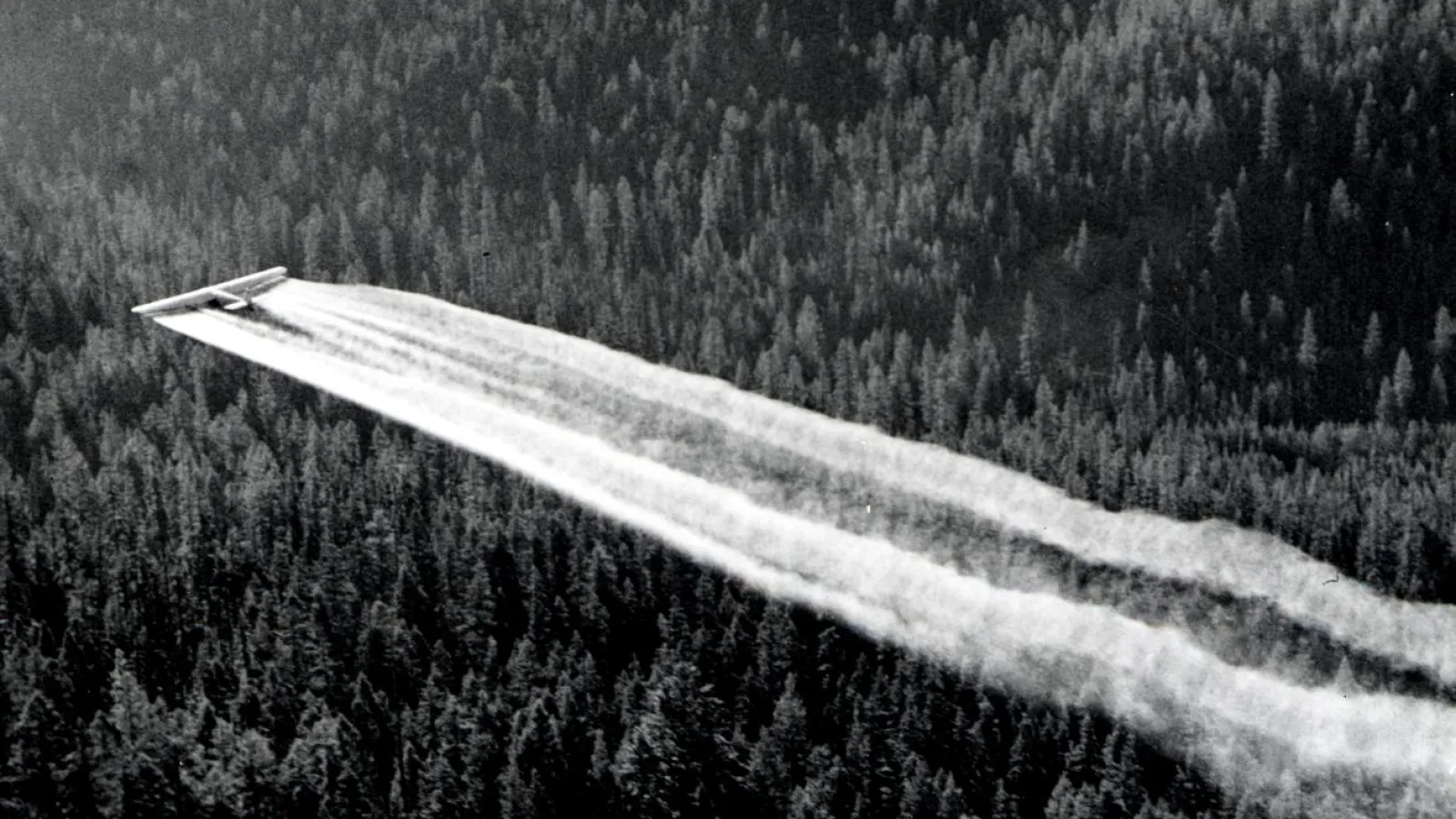 DDT:tä lentolevitetään Orgonissa vuonna 1955.