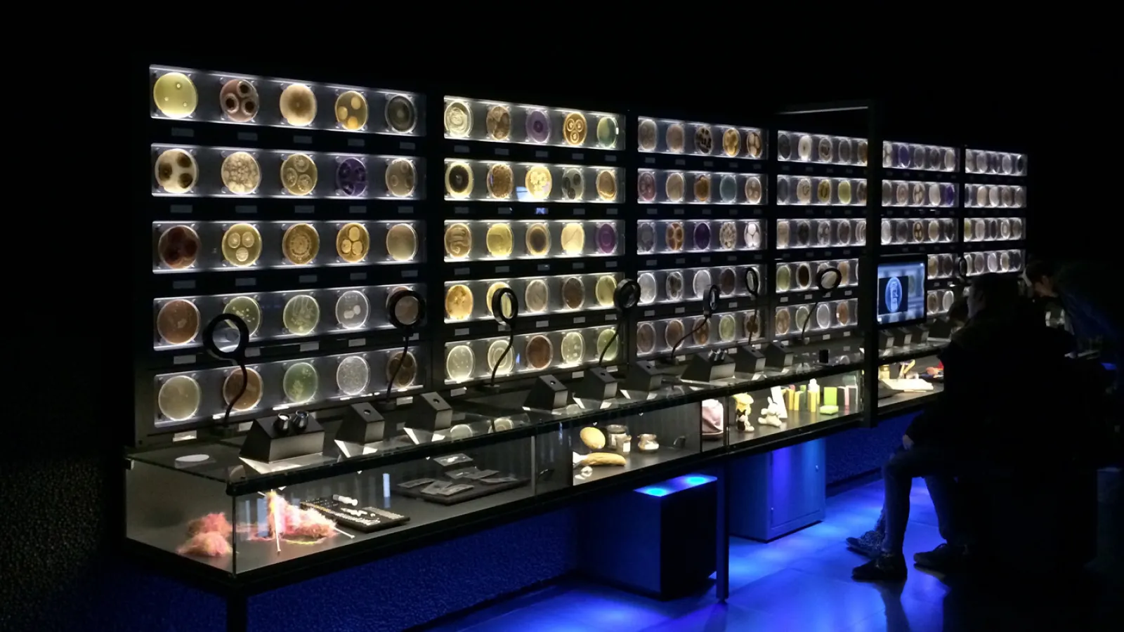 Petrimaljoja Micropia-näyttelystä