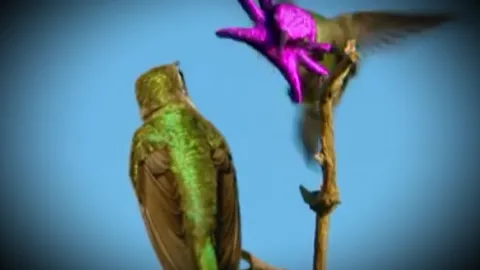 kuvakaappaus videolta