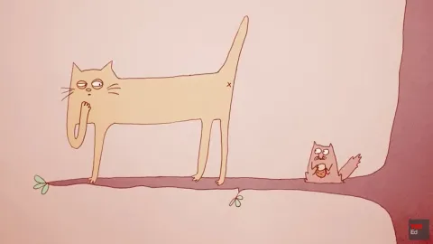Piirretty kissa