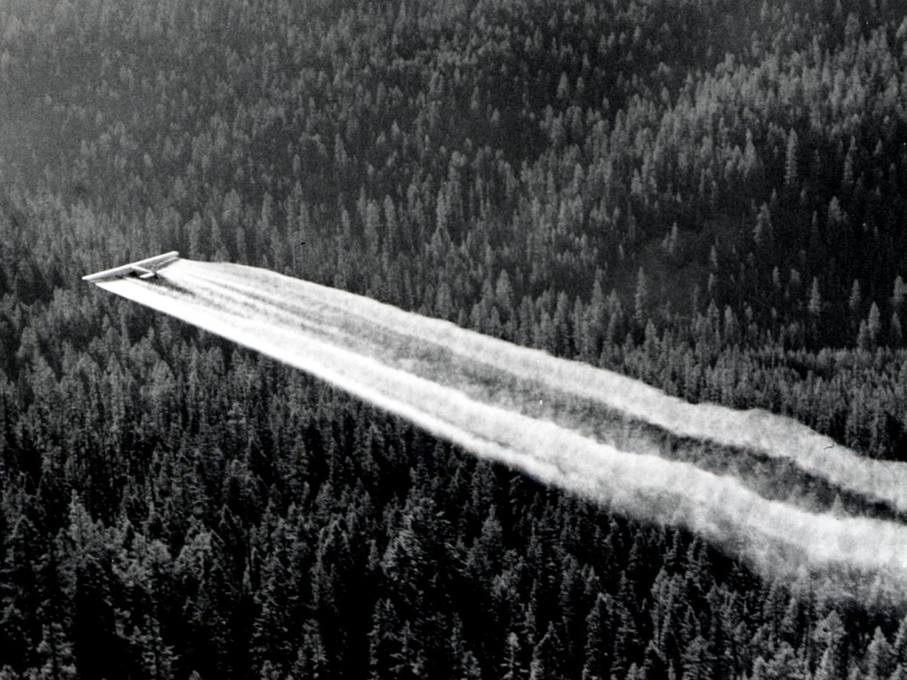 DDT:tä lentolevitetään Orgonissa vuonna 1955.
