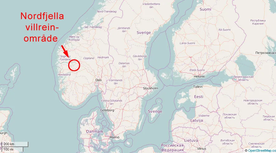 Uuden löydön paikka Norjassa. Kuva: Openstreetmap