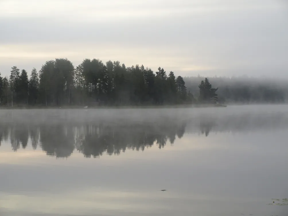 Usvaa järvellä