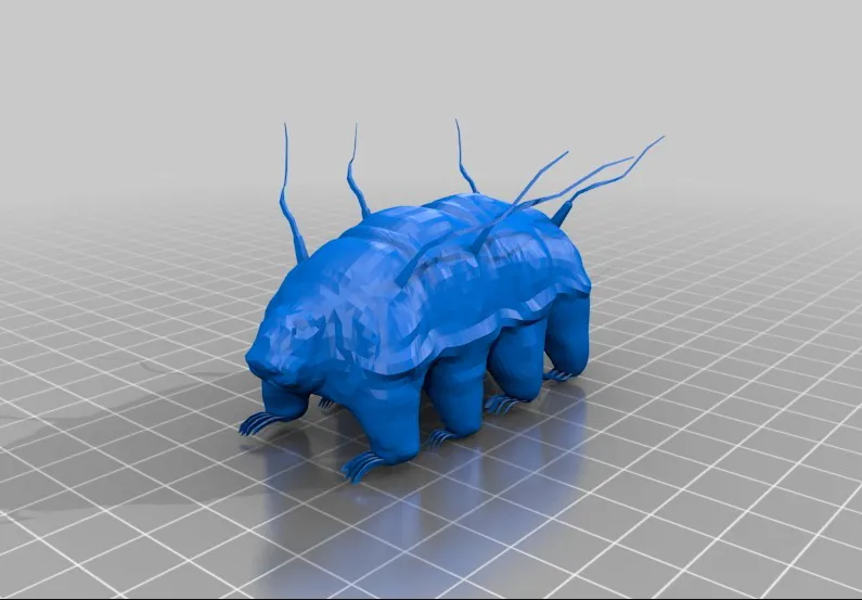 3D-malli karhukaisesta