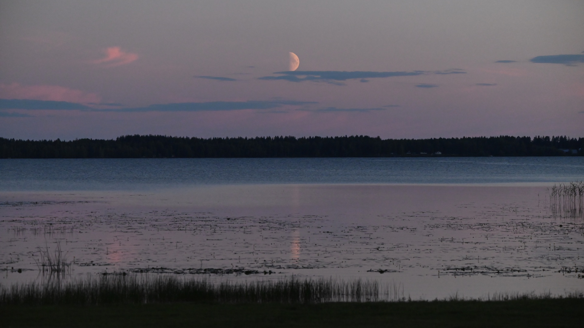 kesäyö, hämärä, kuu