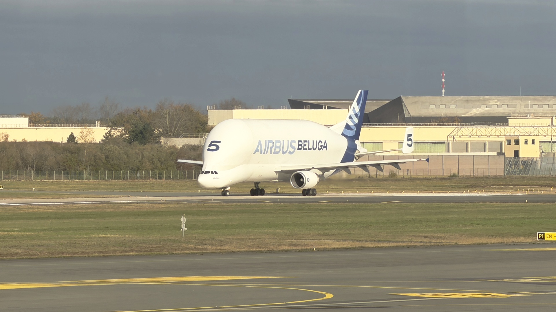 Beluga no 5 Bordeaux'ssa