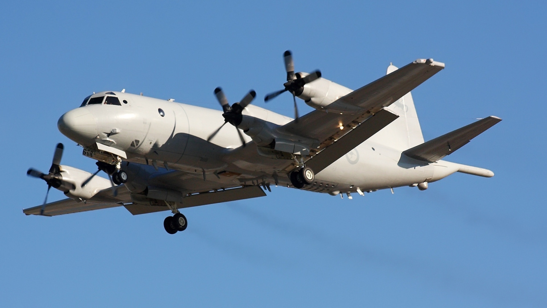 RAAF Orion