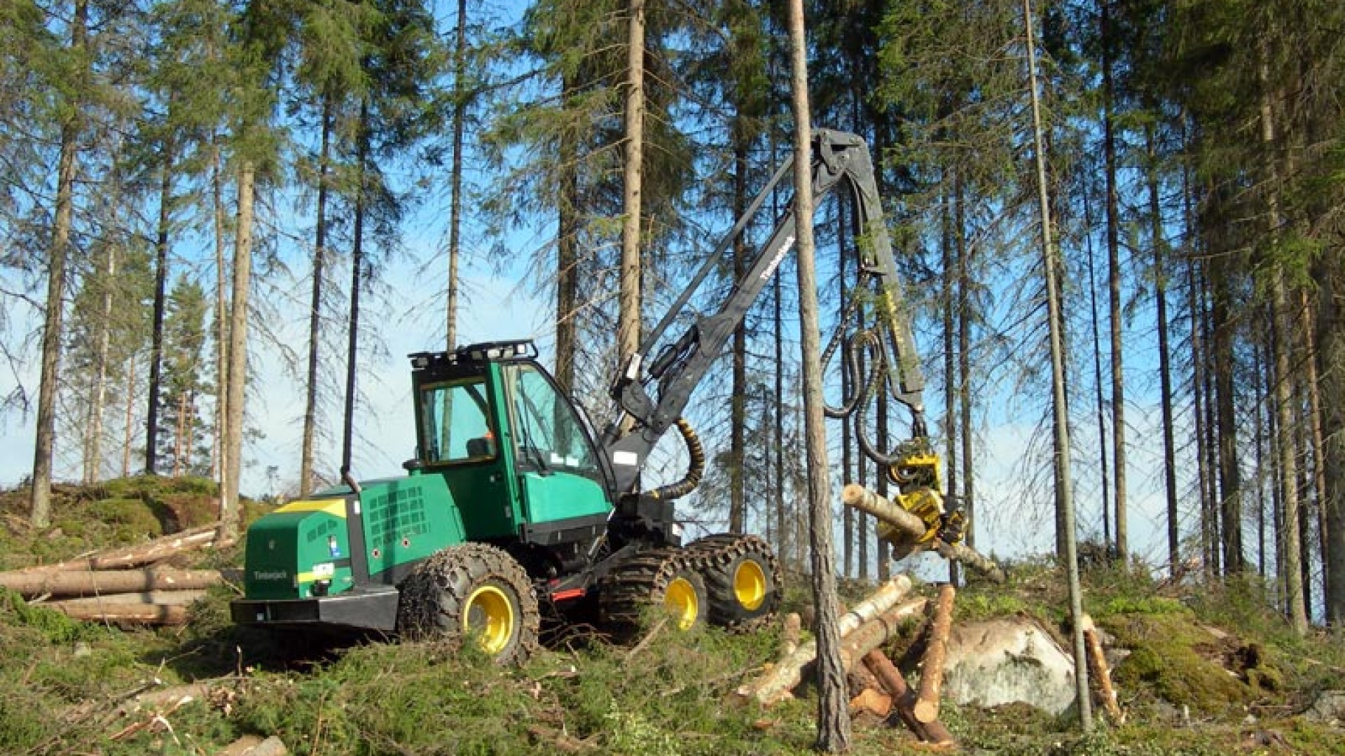 Harvesteri työssään