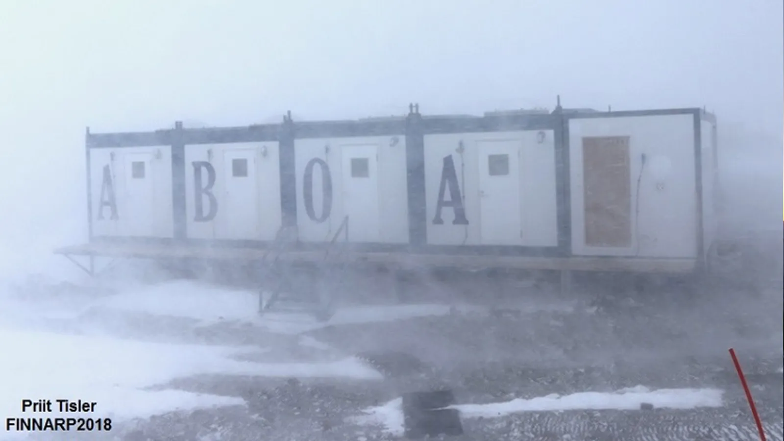 Aboa