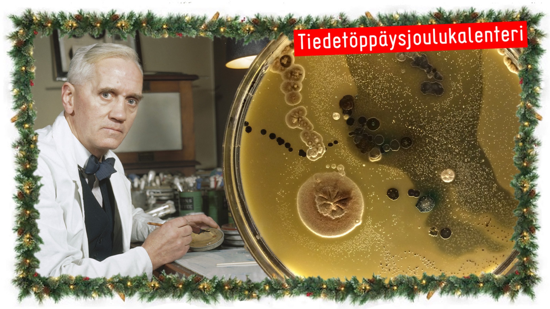 Alexander Fleming