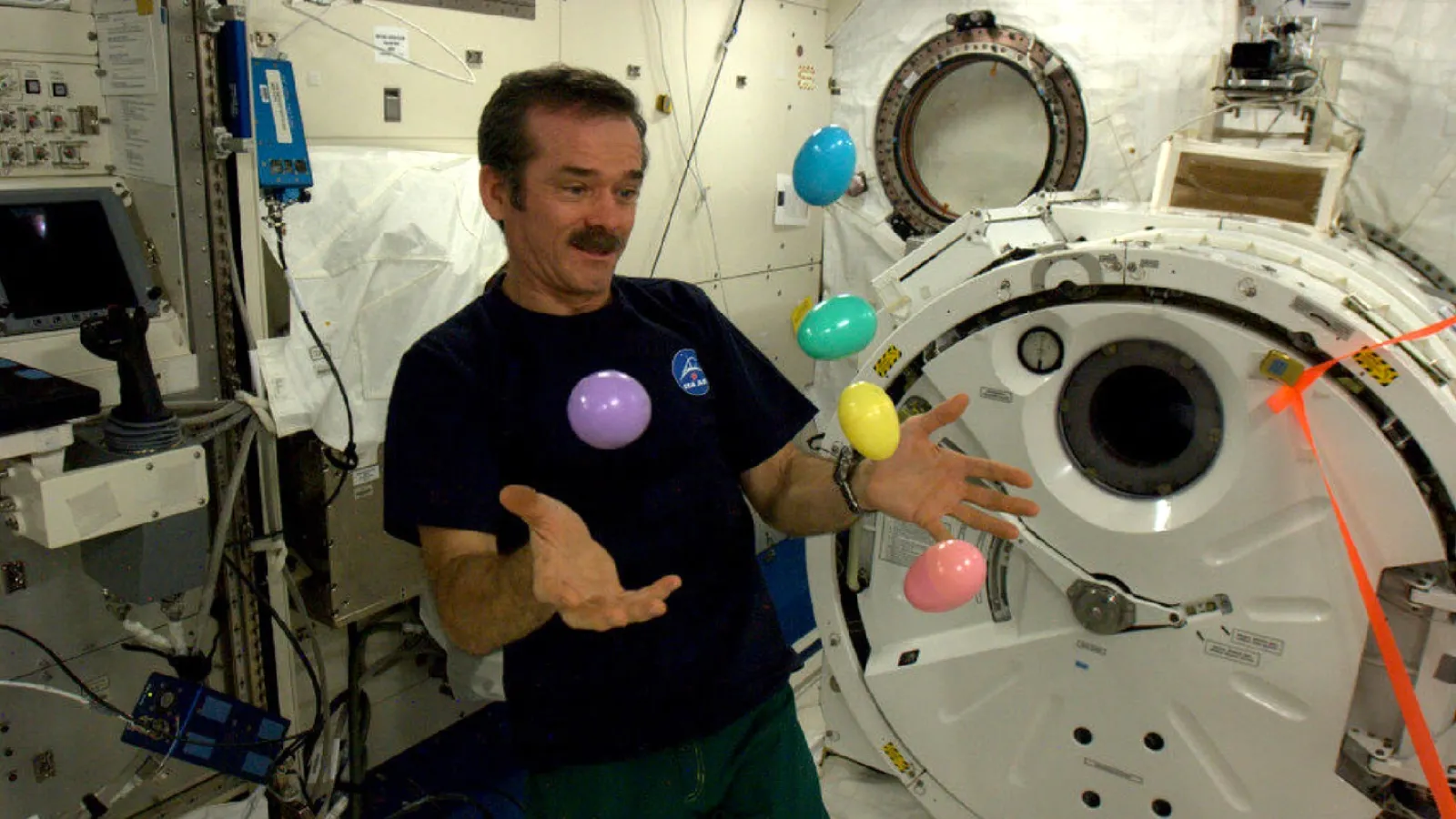 Hadfield ja munat