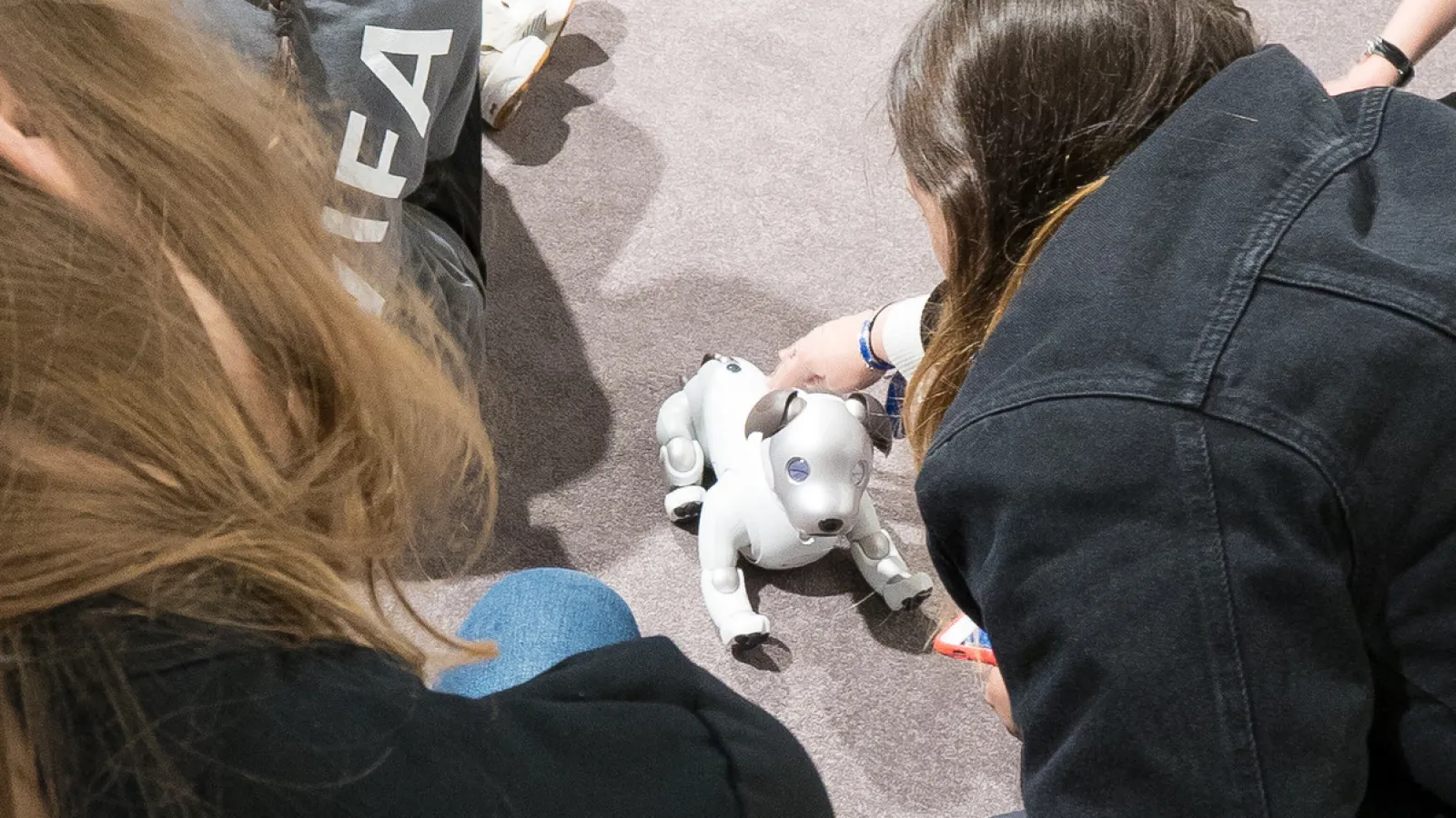 Sony Aibo