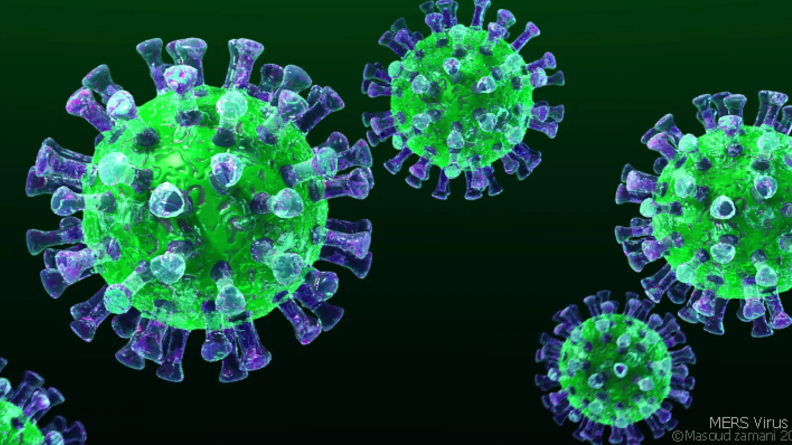 MERS-CoV -virus