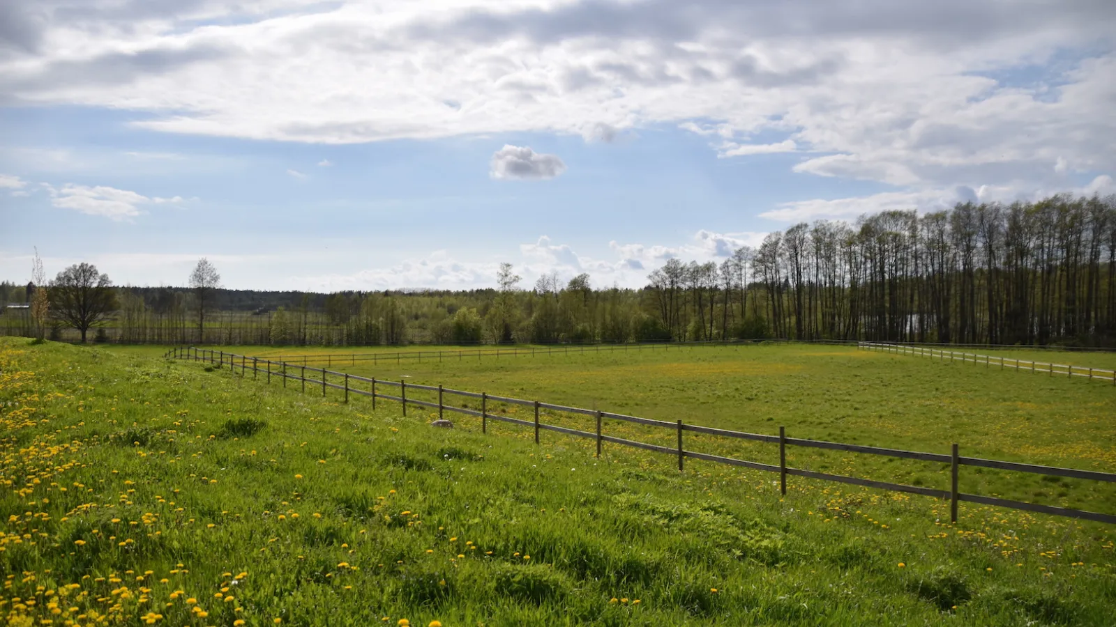 Kesä?