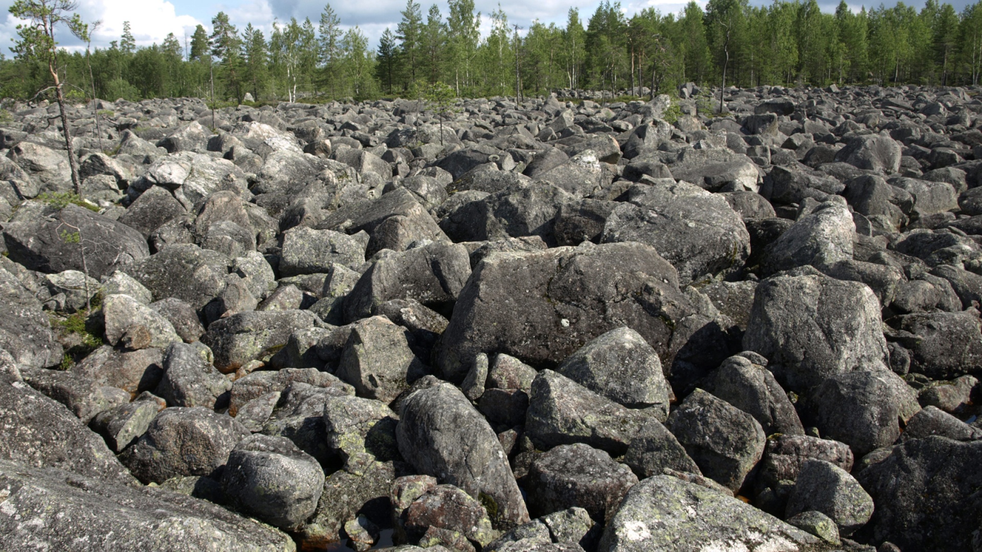 Töppösen luolikko