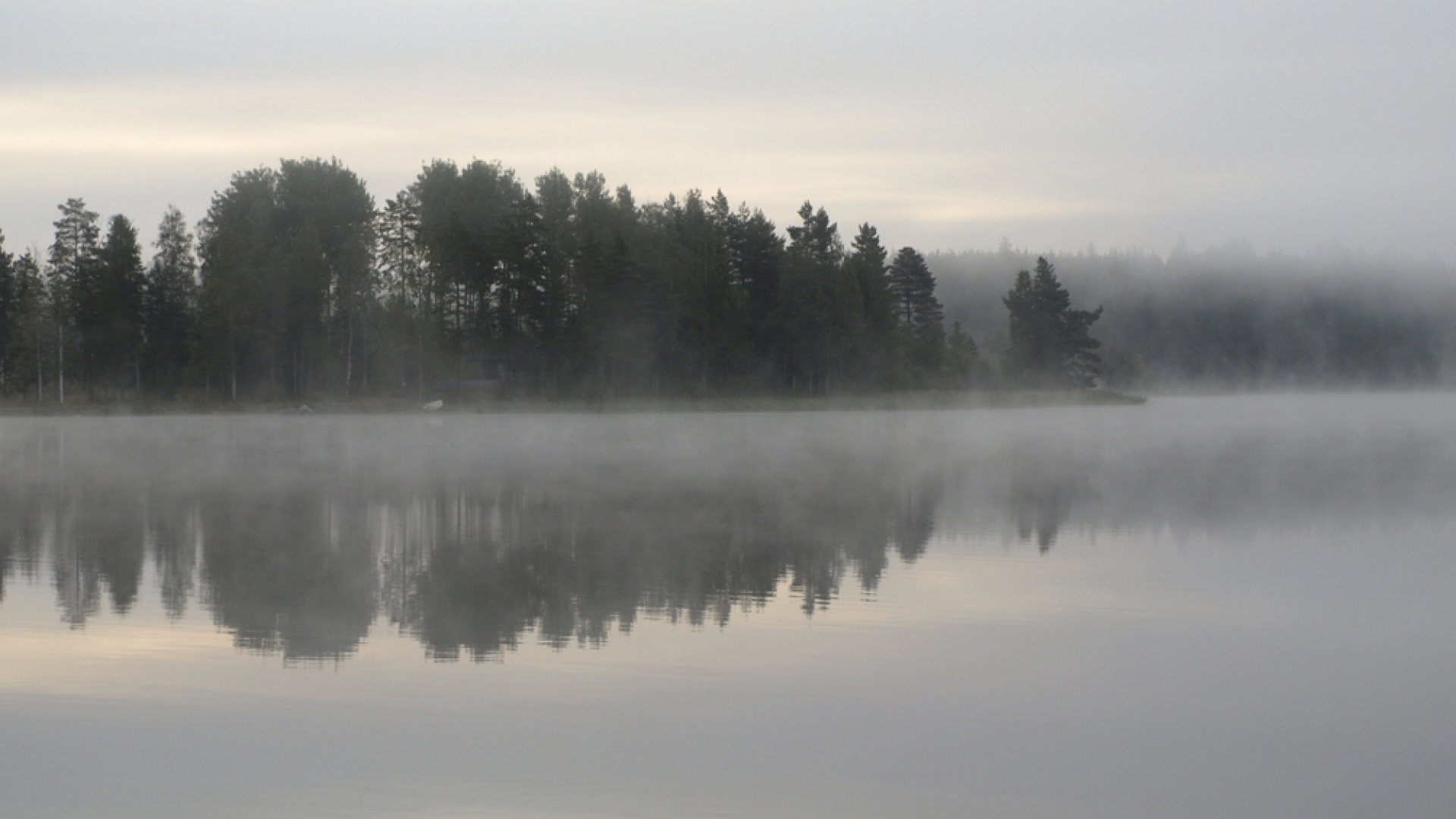 Usvaa järvellä