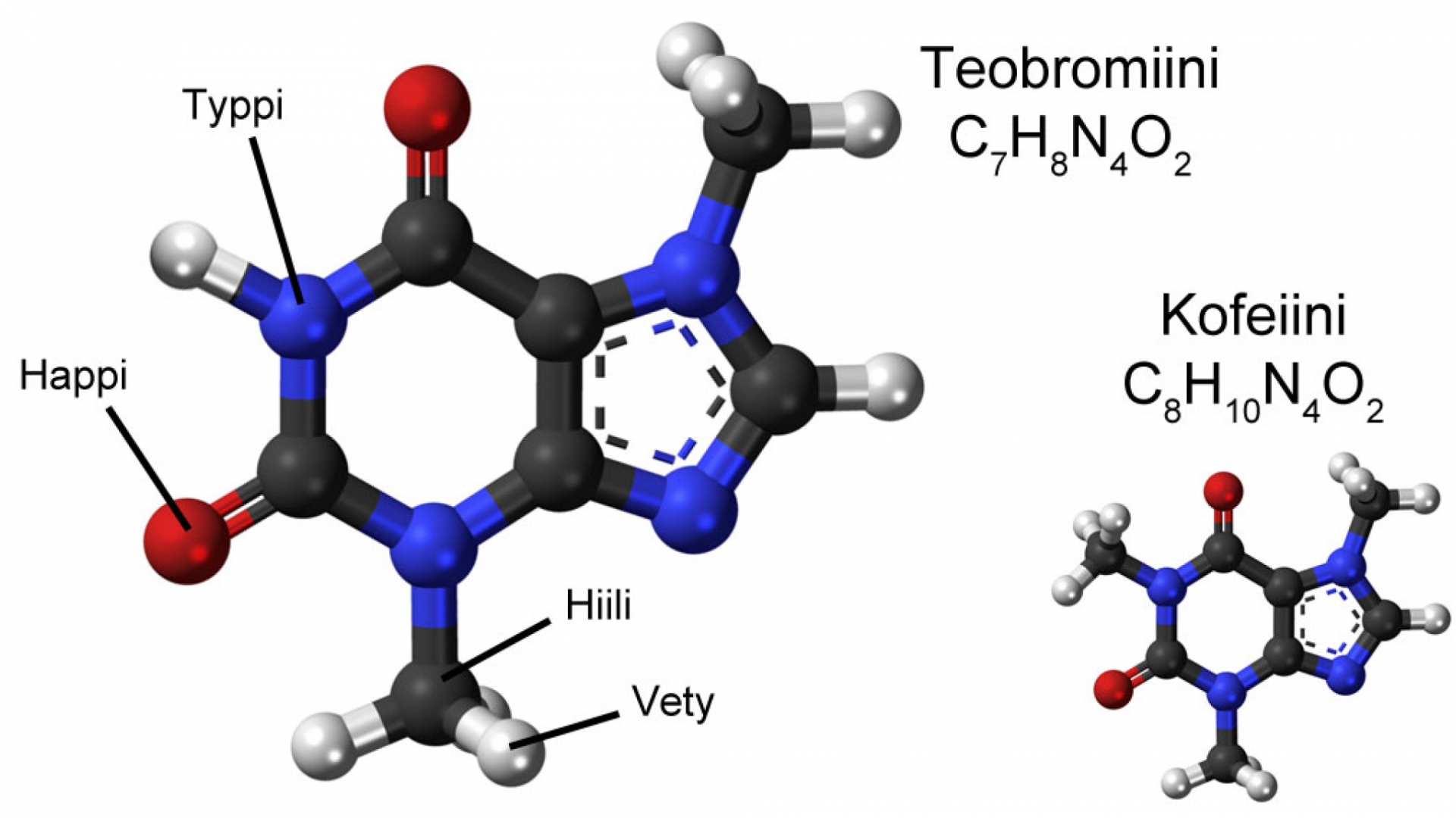 Teobromiini ja kofeiini