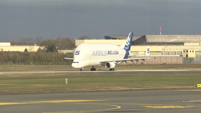 Beluga no 5 Bordeaux'ssa